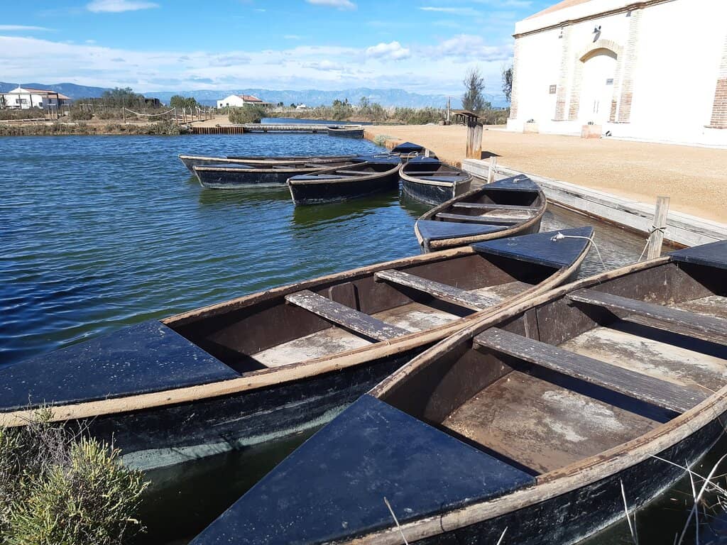 Rice Field and Canal Mock-up