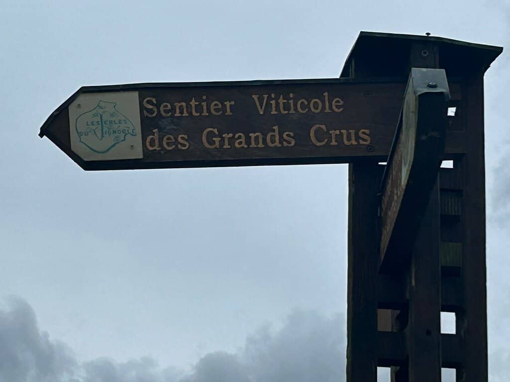 Wine Tasting & Local Producers