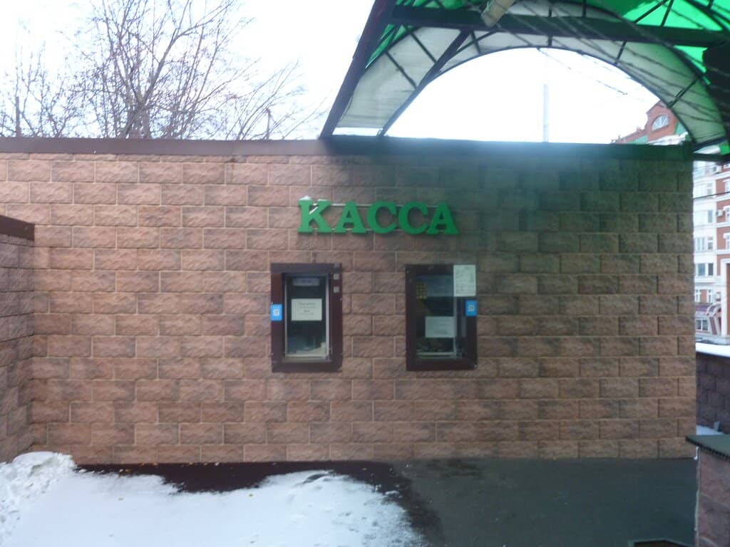 Diverse Animal Collection