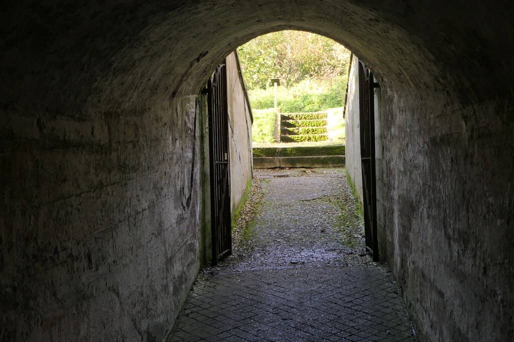 Panoramic Coastal Views