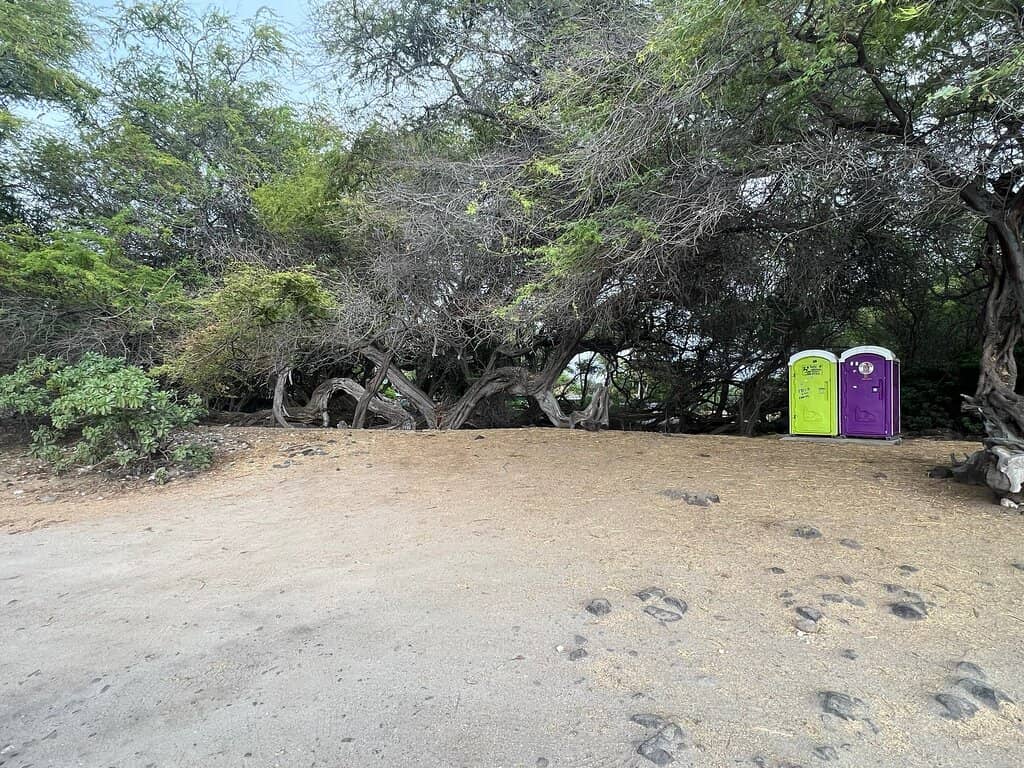 Tidal Pools Exploration