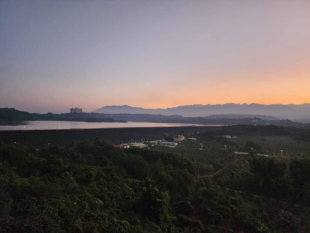 Friendly Feline Encounters