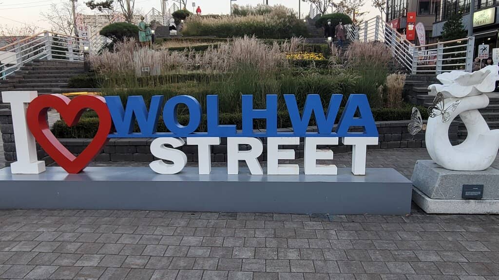 Reflective Bridge Views