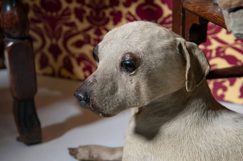 Ludlow's Rich History