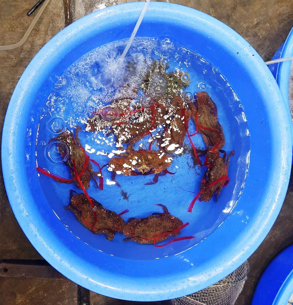 Lively Local Atmosphere