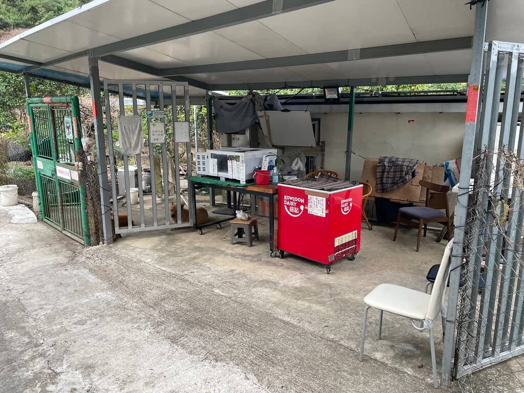 Views of the Hong Kong-Zhuhai-Macau Bridge