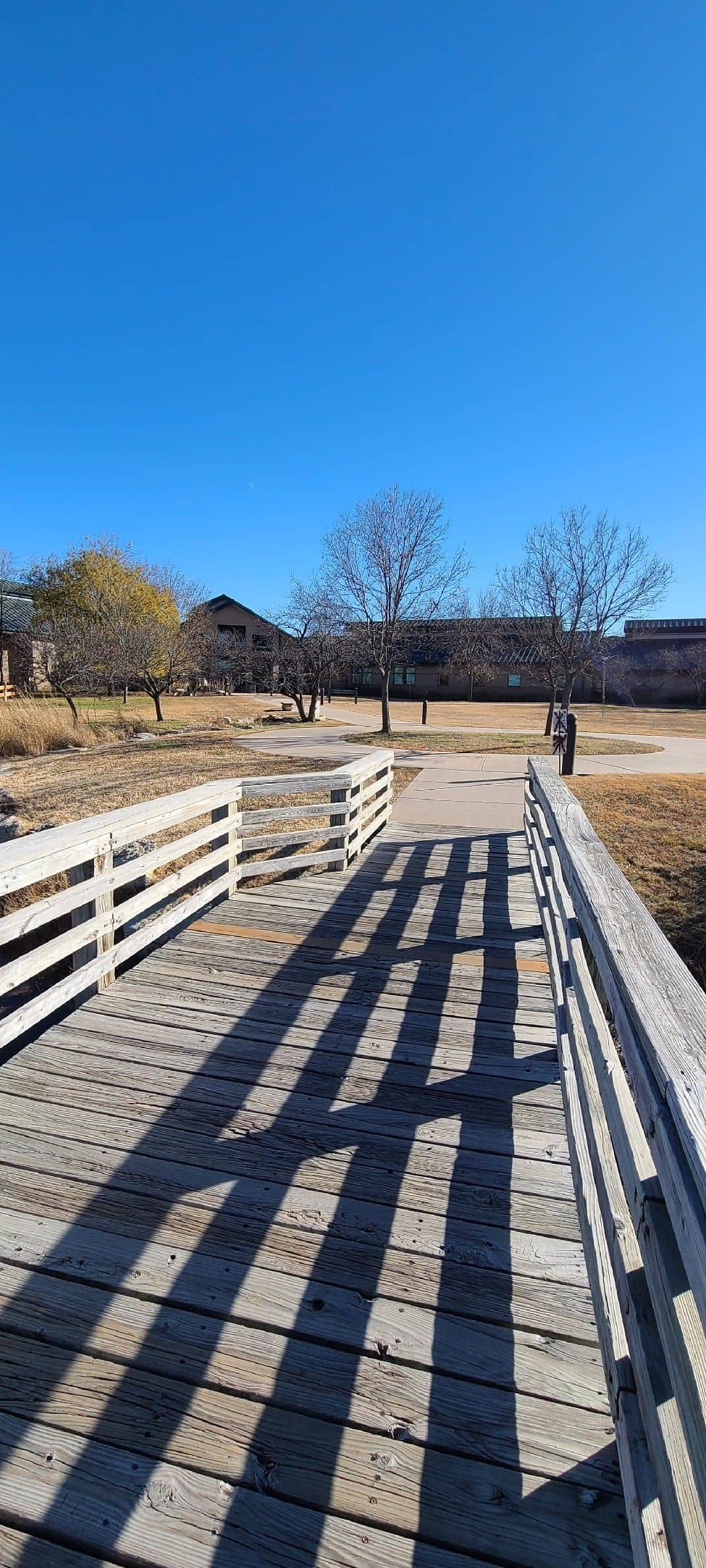 Shaded Walking Trails