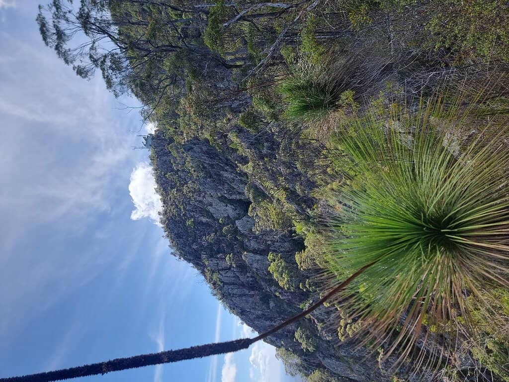 Scenic Lookout Points