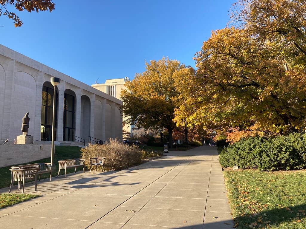 Diverse Art Collections