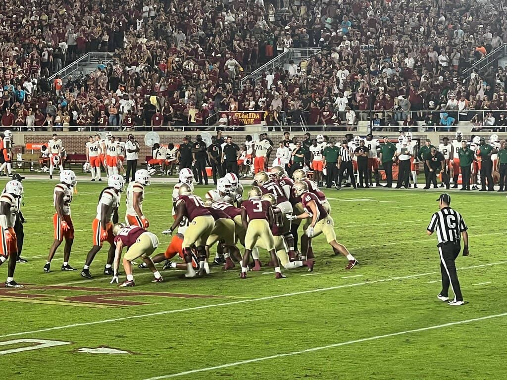 Renovated Stadium Experience