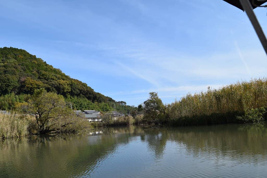 Willow Tree Lined Canals