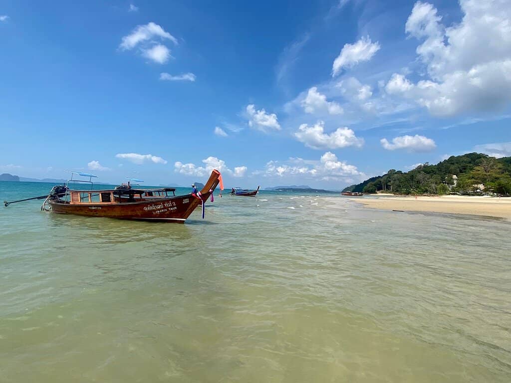 Crab-Spotting Adventures