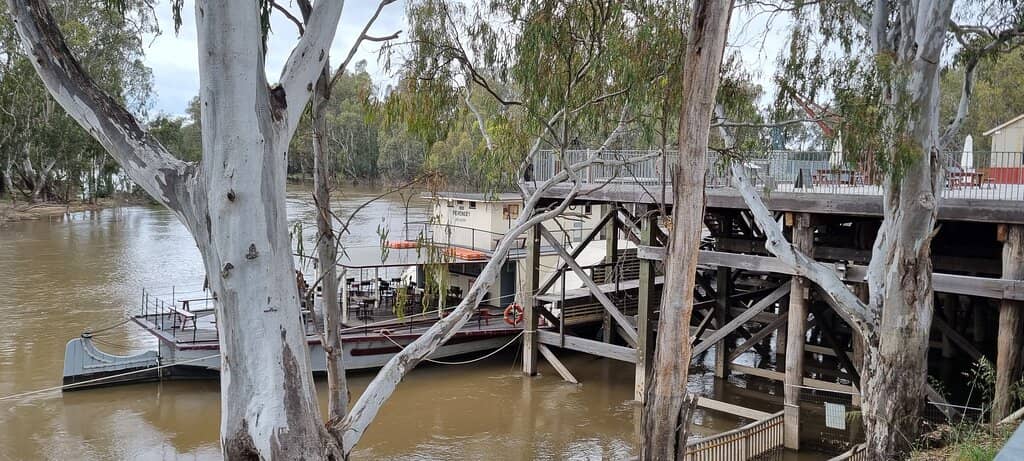 Paddle Steamer Cruises