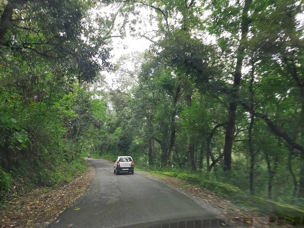 Birdwatching Paradise