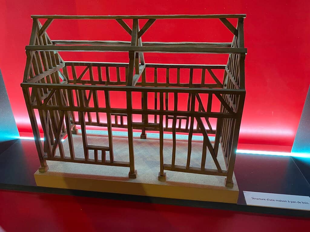 Cabinet of Curiosities