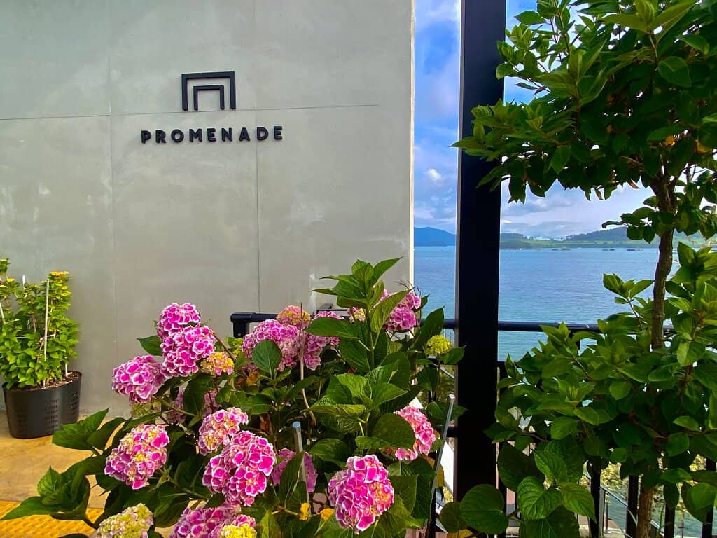 Dazzling Night Views