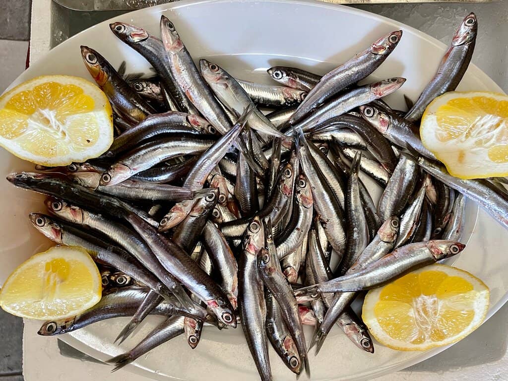 Local Eateries & Cafes