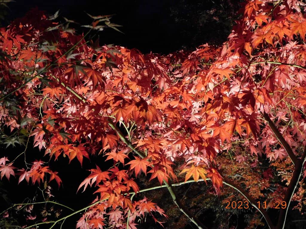 Authentic Japanese Architecture