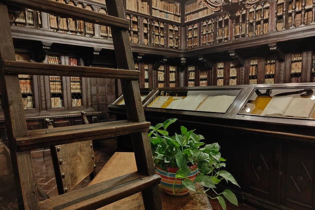 Pesaro's Historical Journey