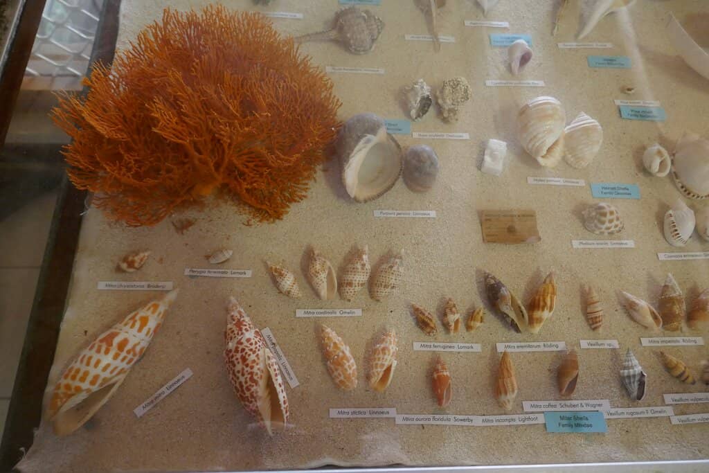 Cultural Artifacts Collection