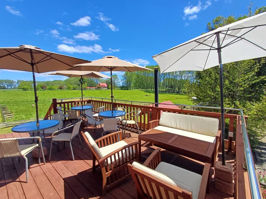 Art and Musical Instruments