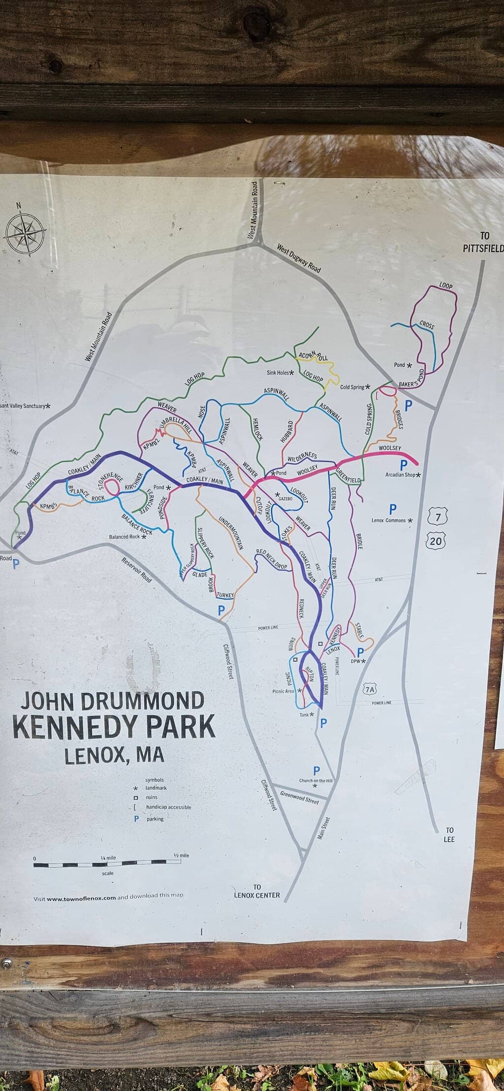 Scenic Hiking Trails