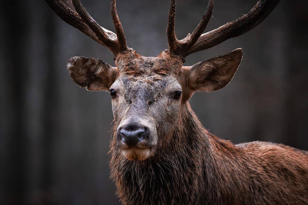 Tranquil Nature Trails