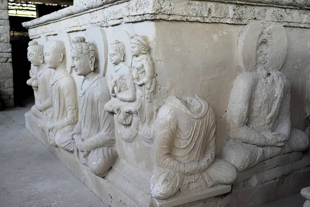 Panoramic Hilltop Views