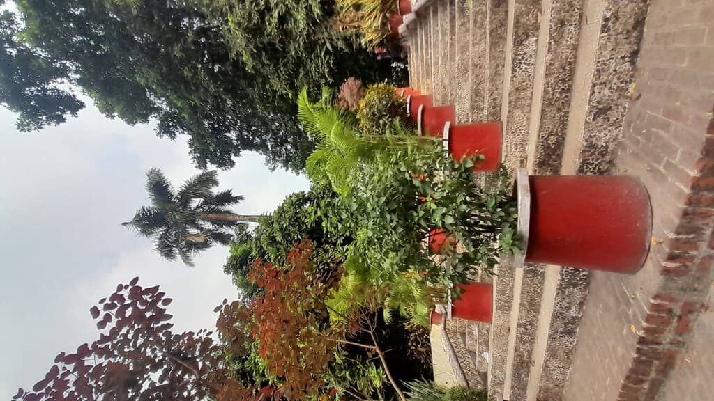 Historical Significance