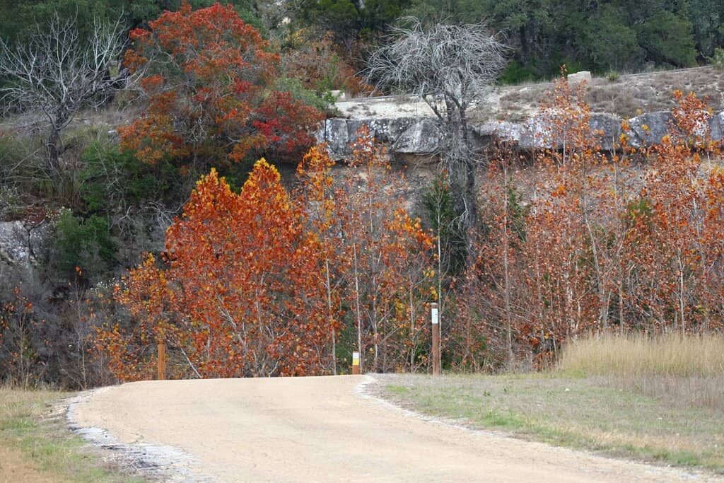 Picnic Pavilions & Playground