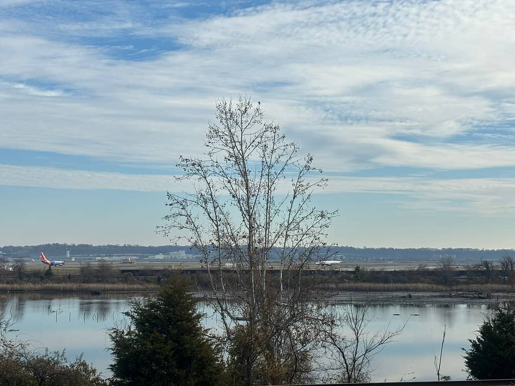 Modern Playgrounds & Fields