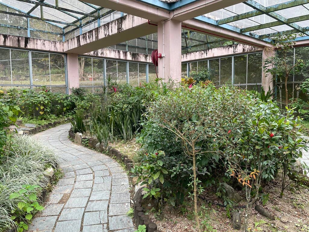 Butterfly Garden