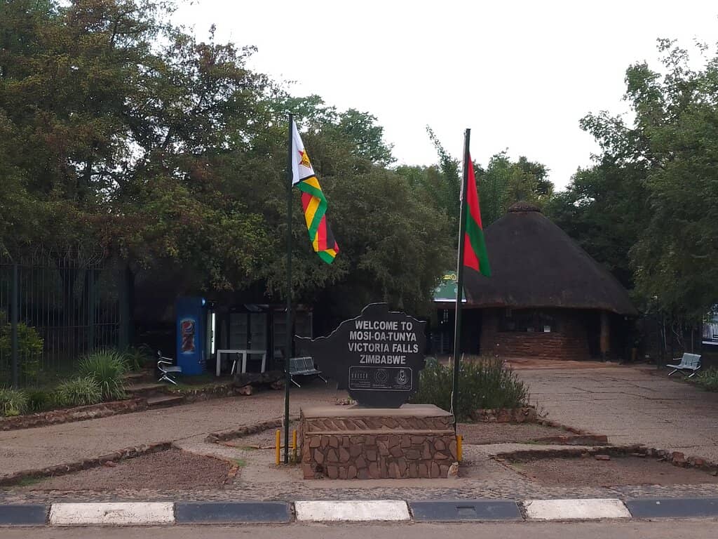 Night Safari Thrills