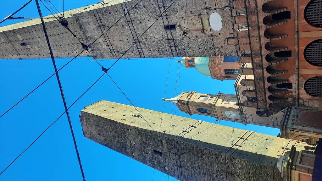 Tranquil Green Space