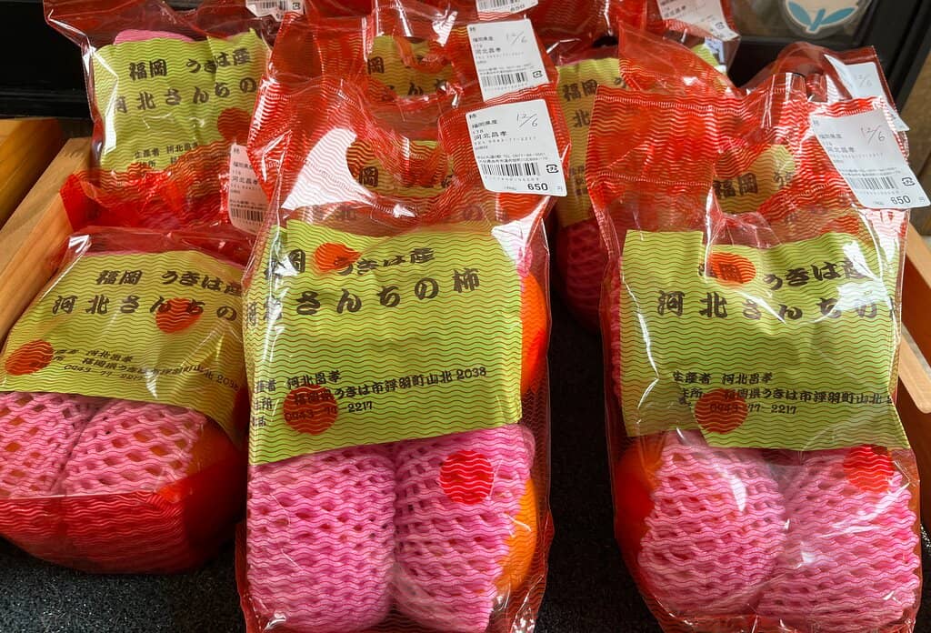 Scenic Mountain Views