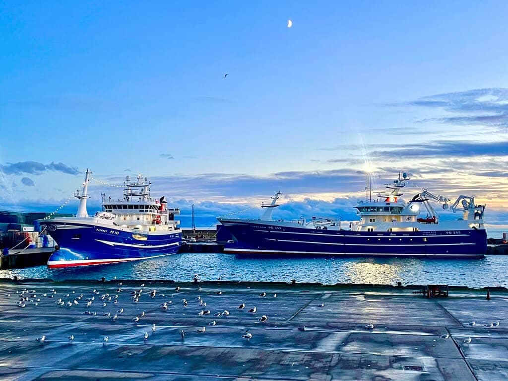 Dolphin Cafe Fish & Chips