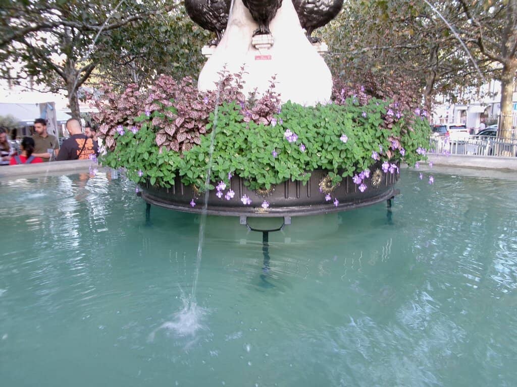 Saturday Morning Market