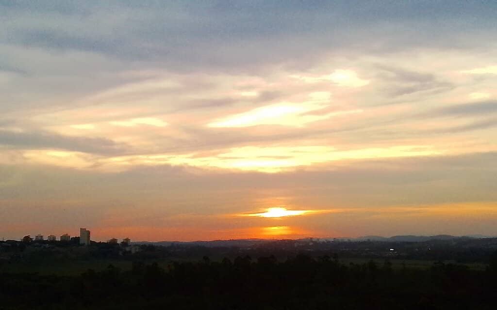 Native Vegetation Scenery