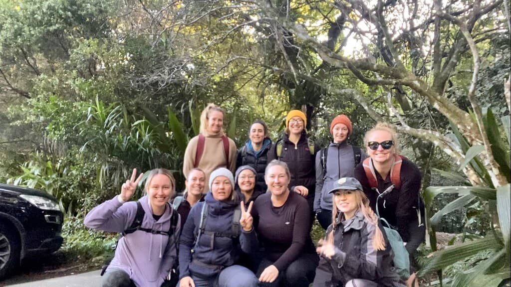 Bird Feeding Experiences