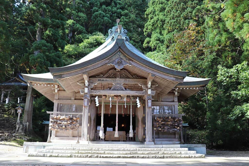 300-Year-Old Wisteria Tree
