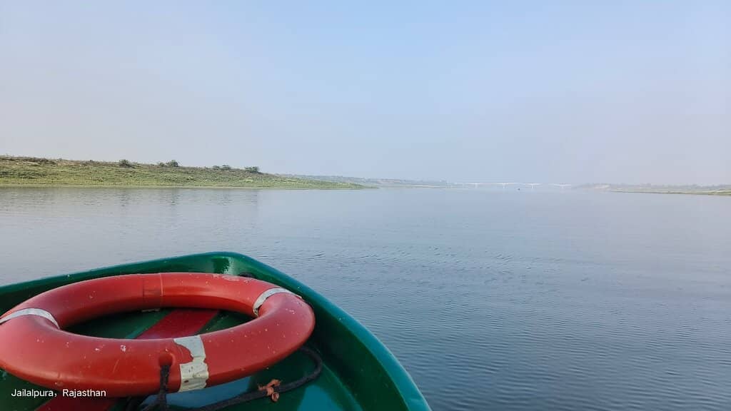 River Dolphin Search
