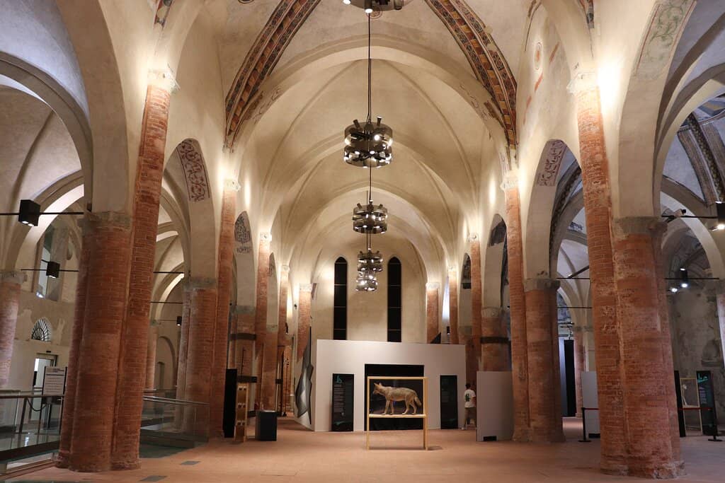 Celtic Necropolis Treasures