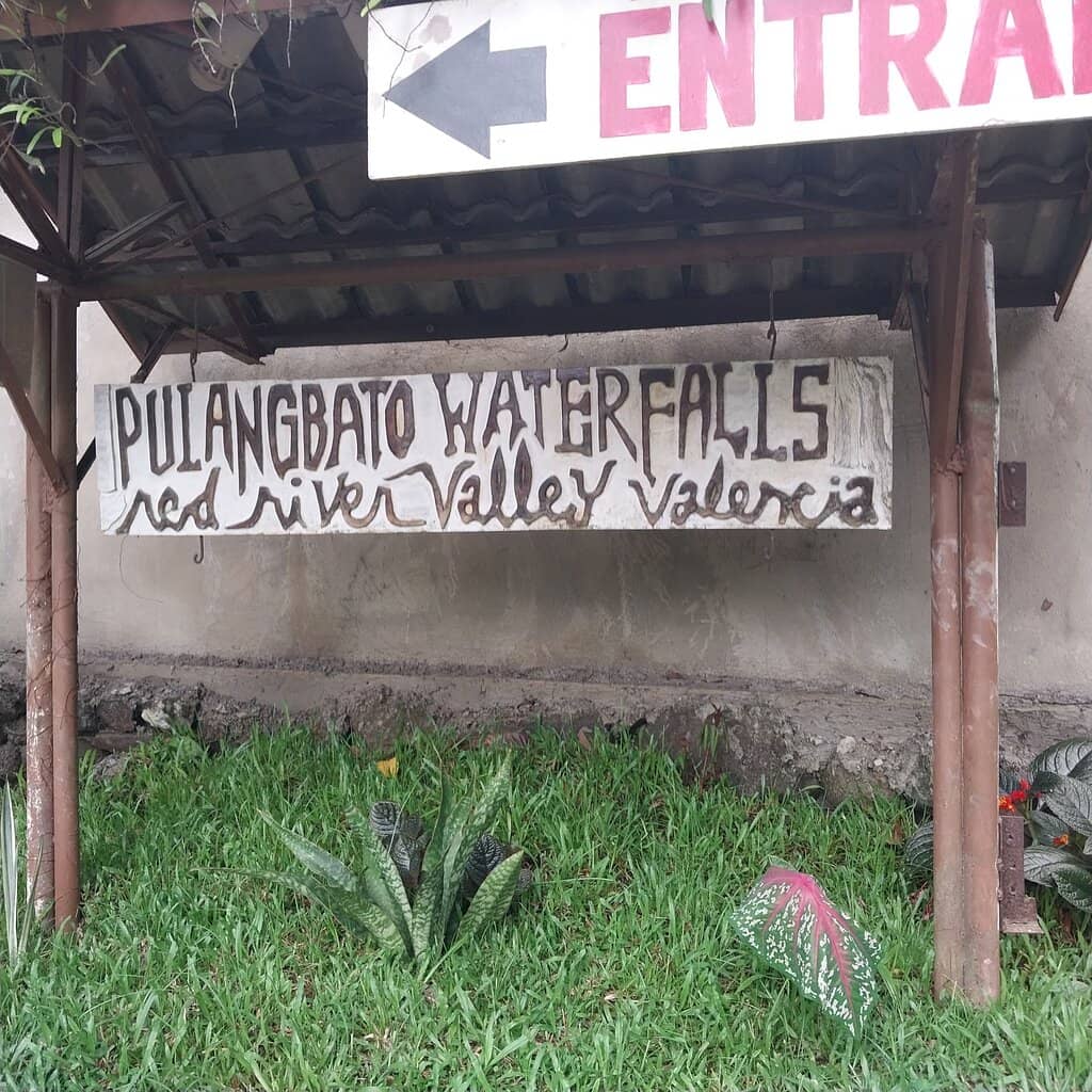 Serene Campus Setting