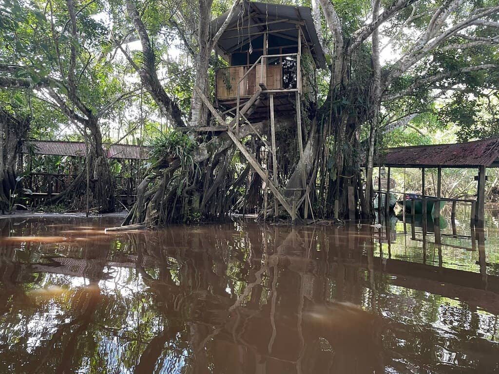 Birdwatcher's Paradise