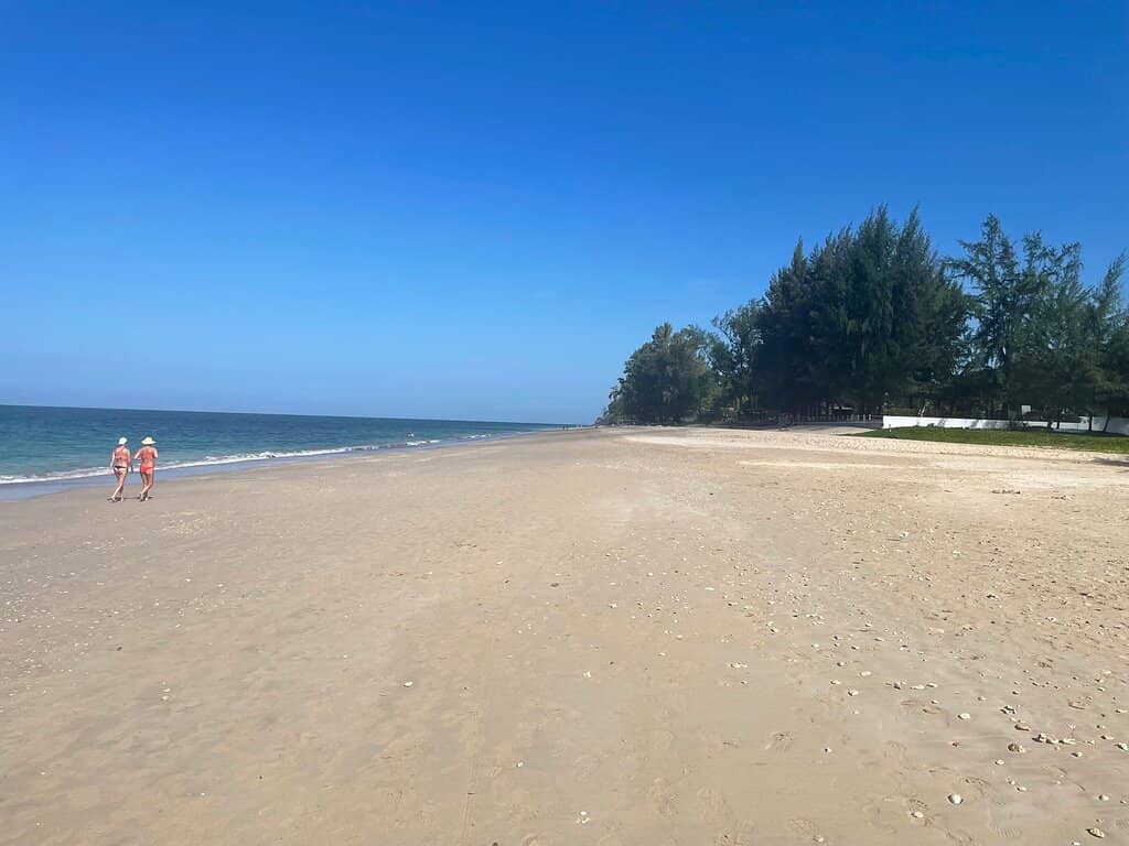Beachfront Dining and Relaxation