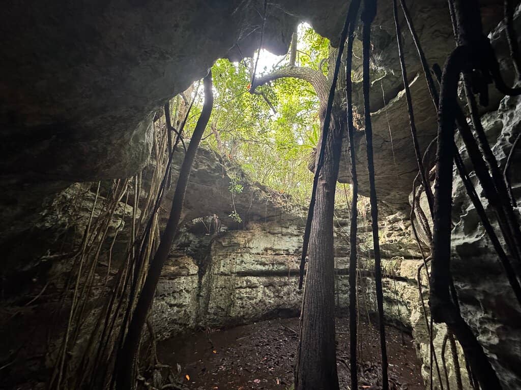 Well-Marked Nature Trails