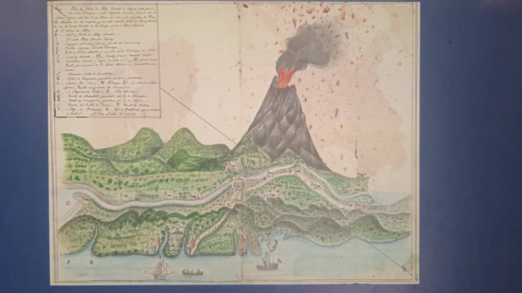 Butterfly Garden Sanctuary