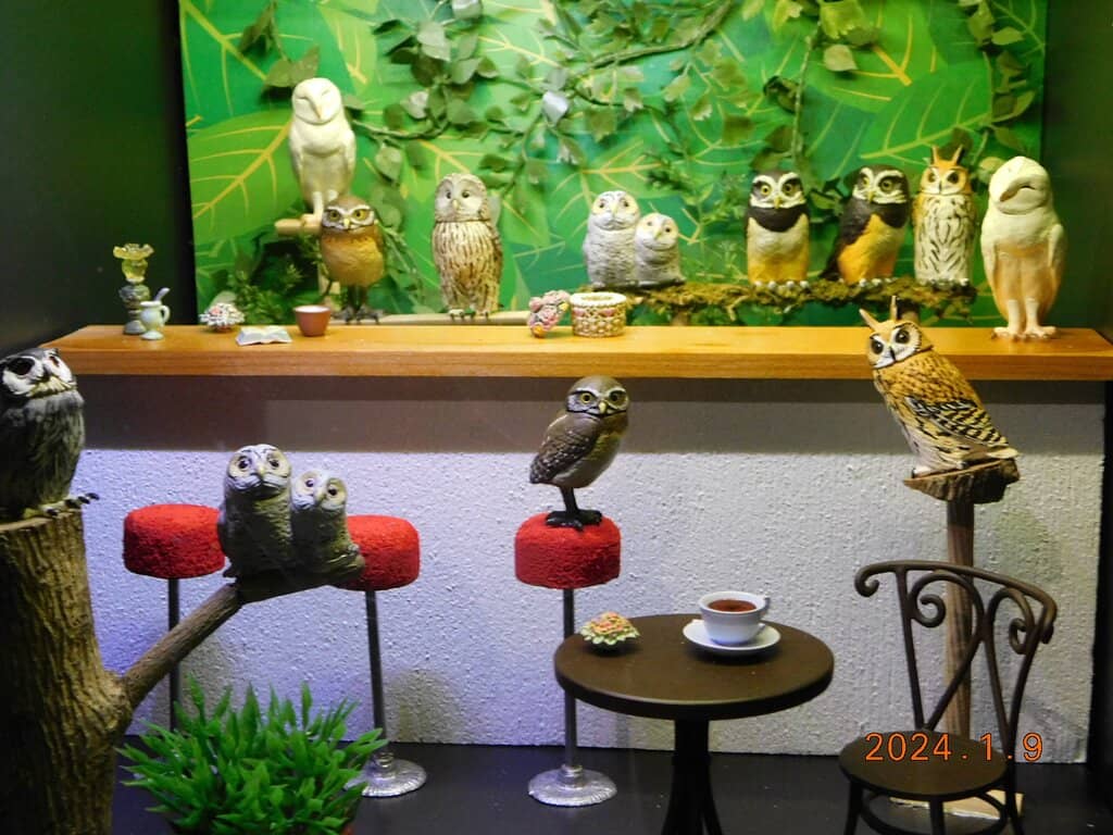 Diverse Figure Displays