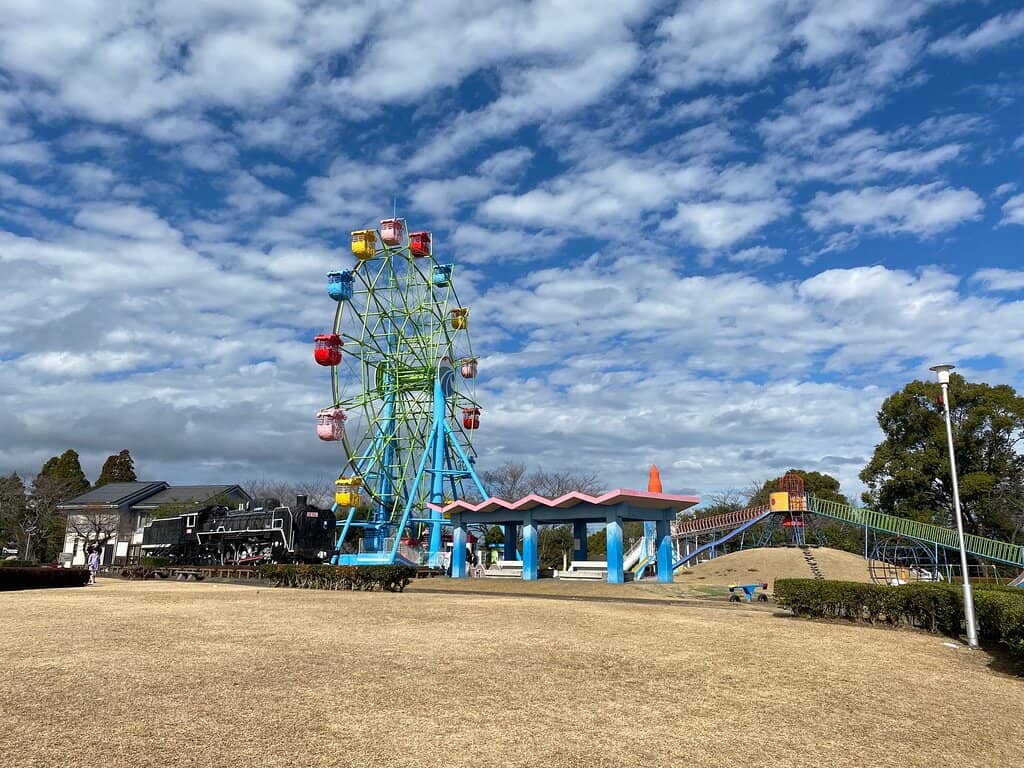 Panoramic City Vistas