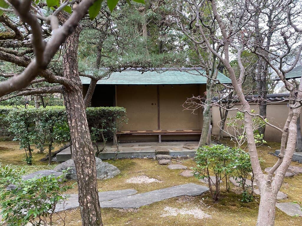 Serene Plum Tree Garden